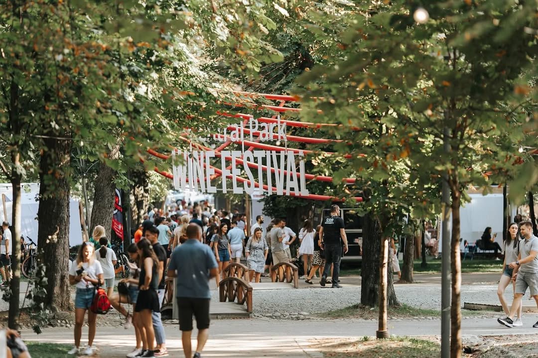 Alimentare Electrică Wine Festival Central Park